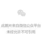 为什么智能反馈能帮助球员更快进步